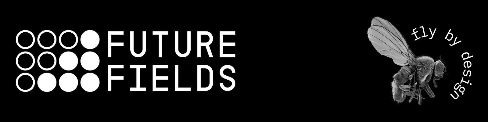 Newsletter headings